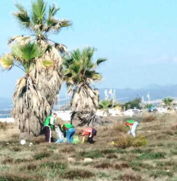 operazione palude pulita