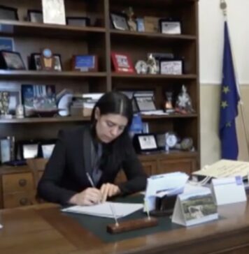 sindaco donna tolfa