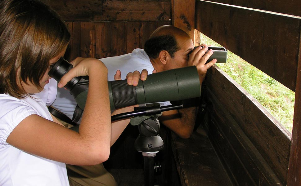 Birdwatching all'Oasi Lipu di Ostia: tante attività gratuite nel mese dedicato ai più piccoli 2