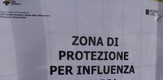 influenza aviaria