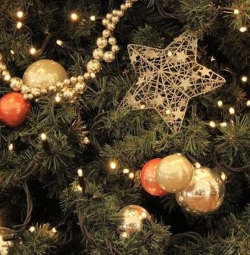 regione natale contributi