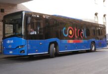 bus Cotral