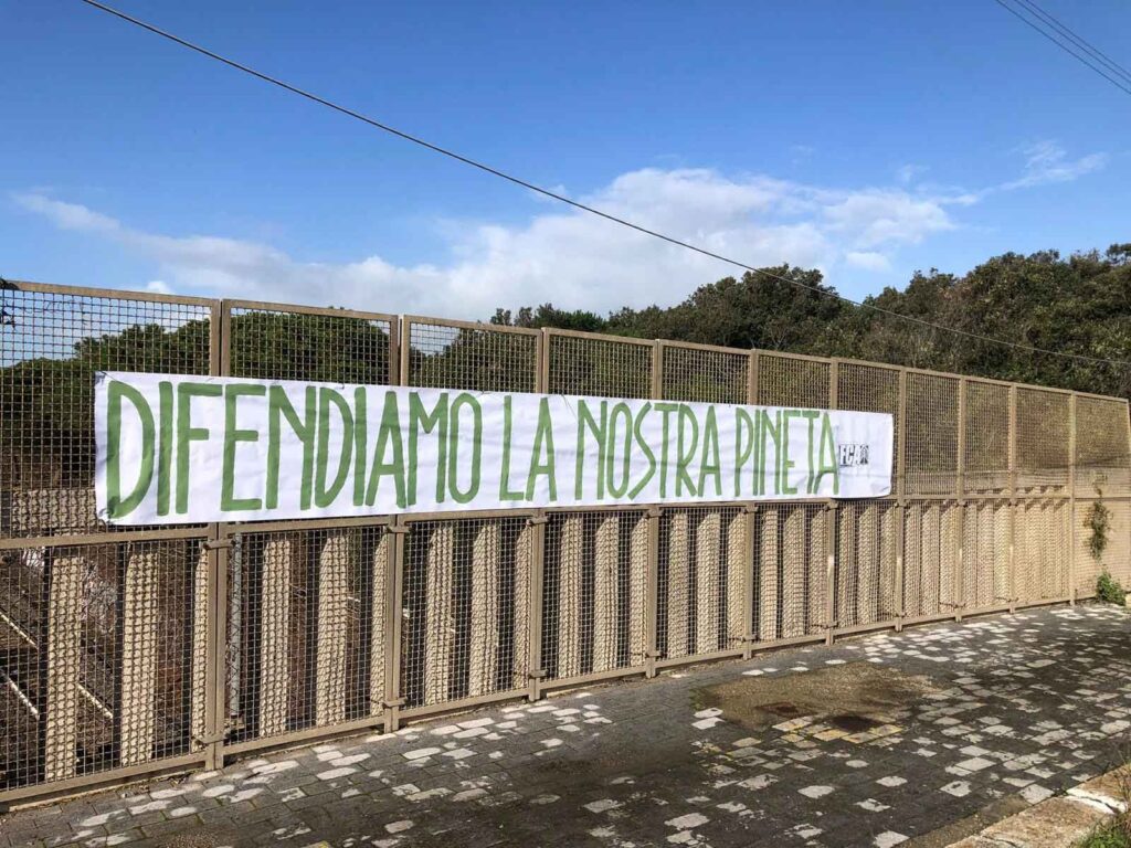 Degrado e abbandono della Pineta di Castelfusano: la denuncia dei movimenti ecologisti 3