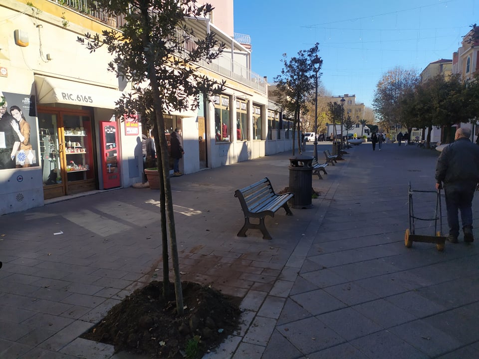 Ostia, dopo tredici anni sostituiti gli alberi morti nel Centro storico 1