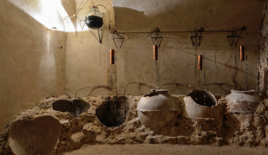 La cultura dell'olio scoperta nei musei e negli antichi frantoi del Lazio 1