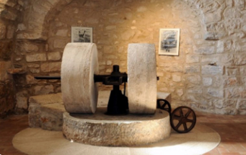 La cultura dell'olio scoperta nei musei e negli antichi frantoi del Lazio 2
