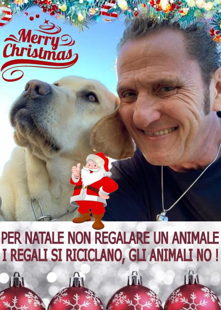 Enzo Salvi: "A Natale non regalare un animale" 1