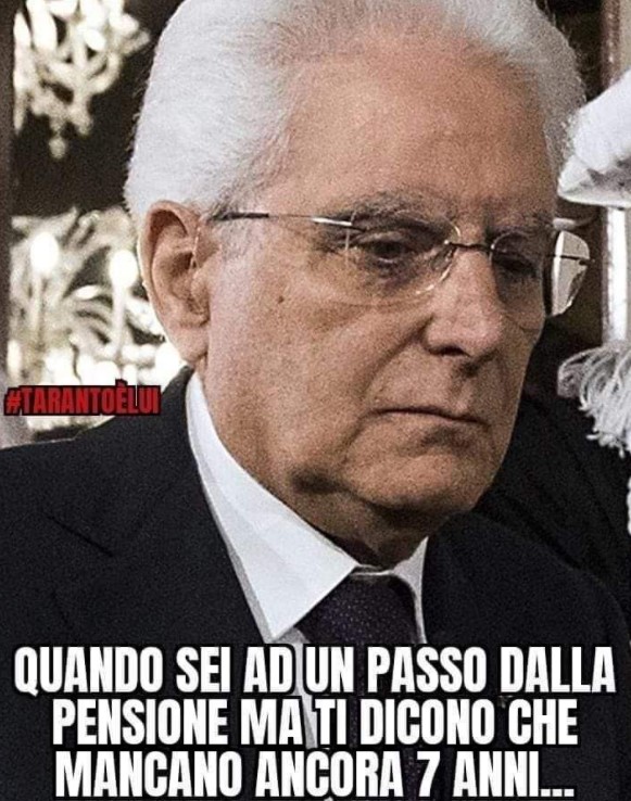 Sergio Mattarella, Presidente della Repubblica: tutti i meme sul successore di se stesso 3