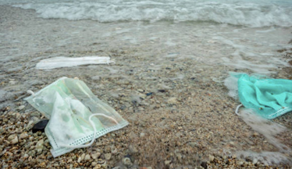 Pulizia spiagge, Fare verde: "Il Lazio, regina dei rifiuti di plastica" (VIDEO) 2