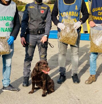 civitavecchia cane antidroga