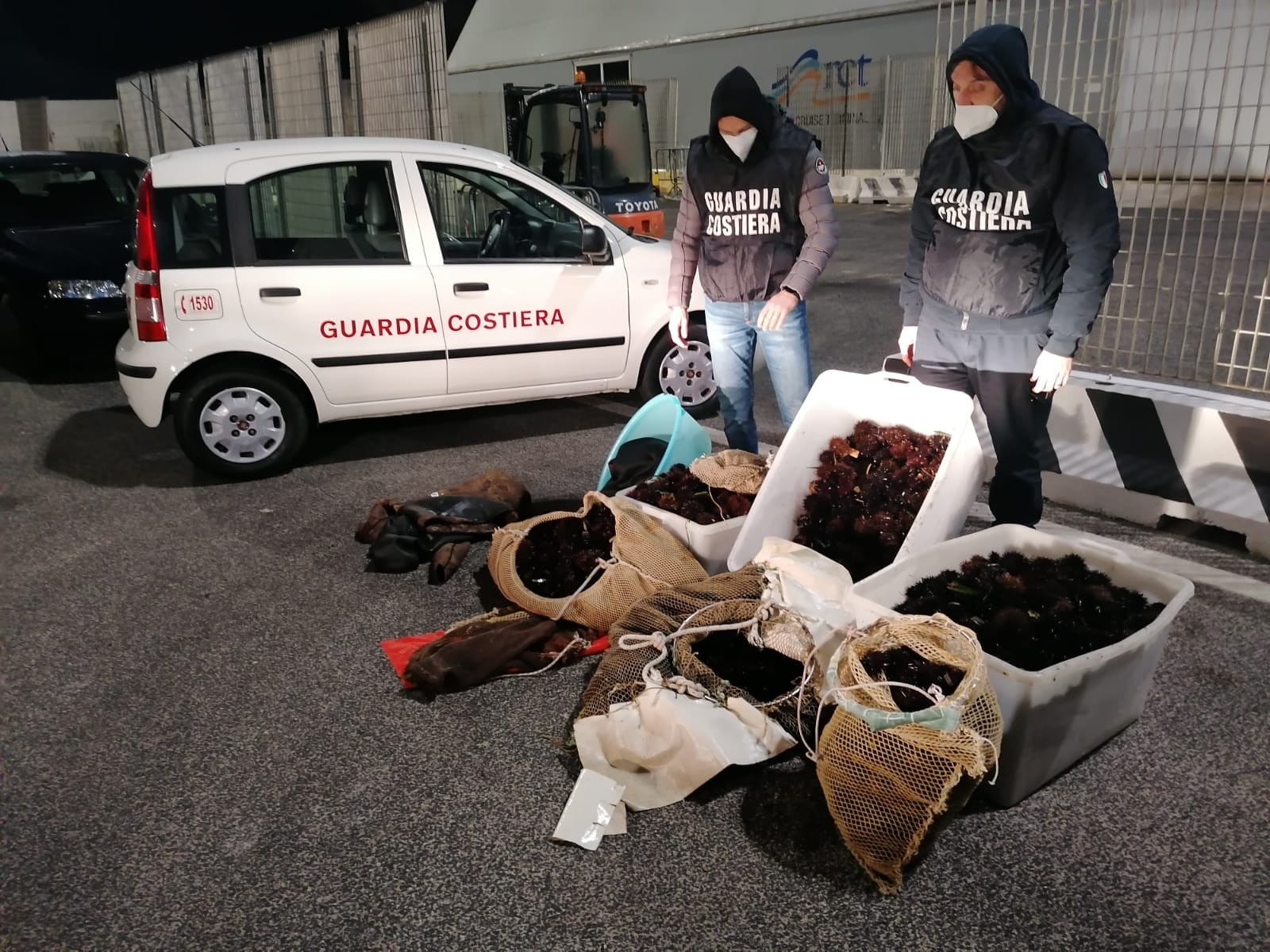 Pesca di frodo a Santa Marinella: sequestrati 11mila ricci di mare 1
