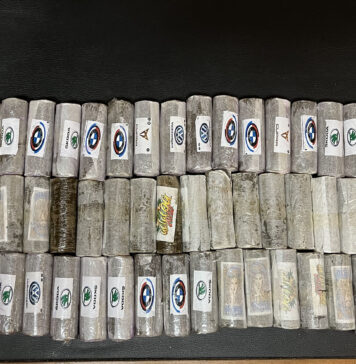 primavalle hashish