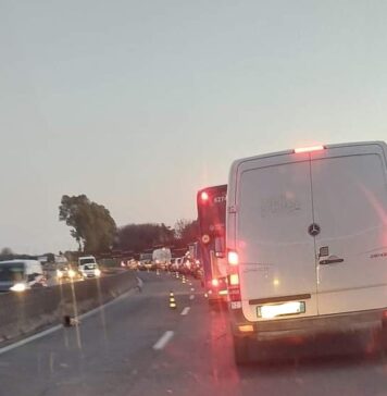 lavori pontina