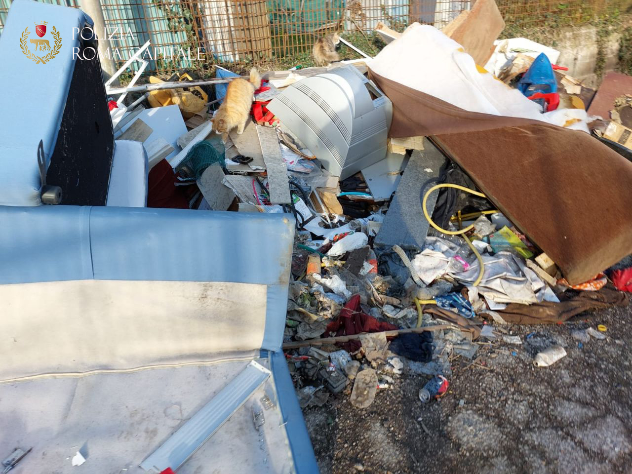 Roma, svuota-cantine illegali fermati con 3 tonnellate di rifiuti pericolosi: denunciati 1