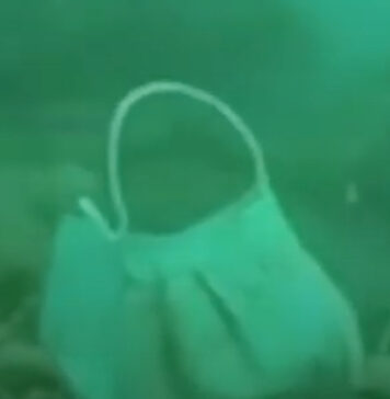 mascherini in mare