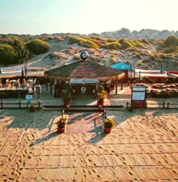 Bud beach 8