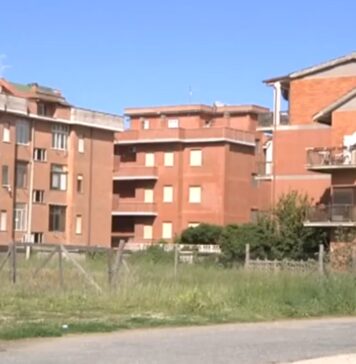 spari ardea