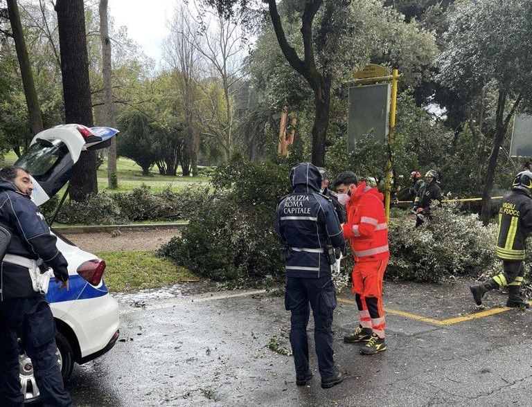 Cade albero a Villa Borghese: ferite due donne 1