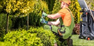 ROMA-POMEZIA-LAVORO-AZIENDA-ASSUME-GIARDINIERI-PARCHI-GIARDINI-