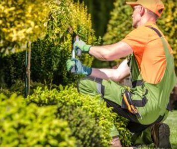 ROMA-POMEZIA-LAVORO-AZIENDA-ASSUME-GIARDINIERI-PARCHI-GIARDINI-