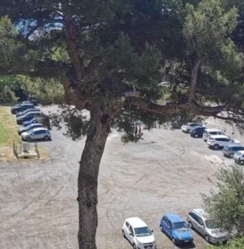 parcheggi santa marinella ex fungo