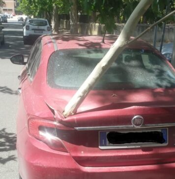 ramo auto