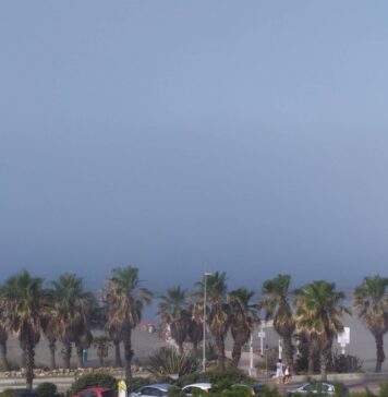 nebbia Ostia mare palme