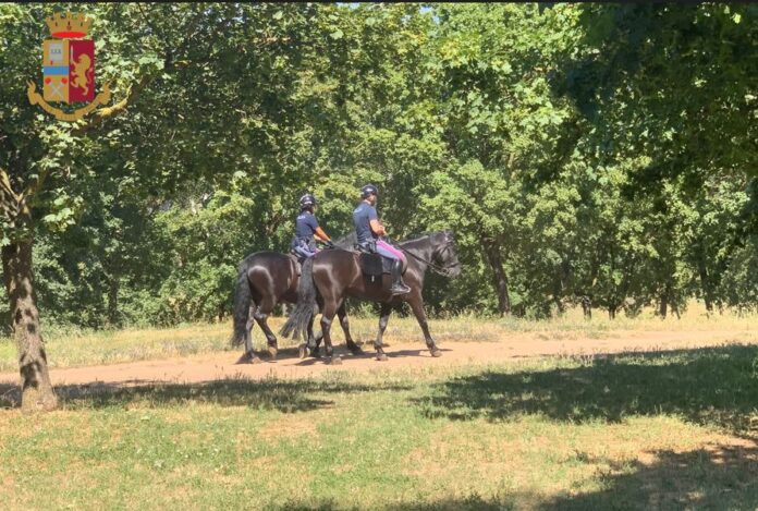 POLIZIA CAVALLO PARCO TOR TRE TESTE