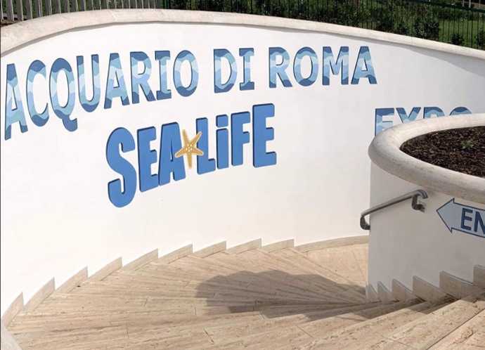 Notte Bianca all'Eur: visite guidate all'Acquario Roma Sea Life. A Natale l'apertura 1