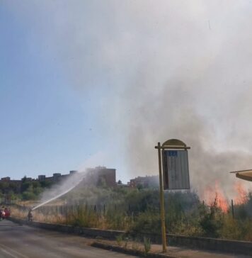 incendio bufalotta