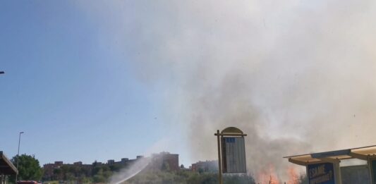 incendio bufalotta