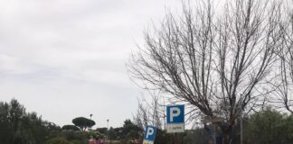 incendio madonnetta