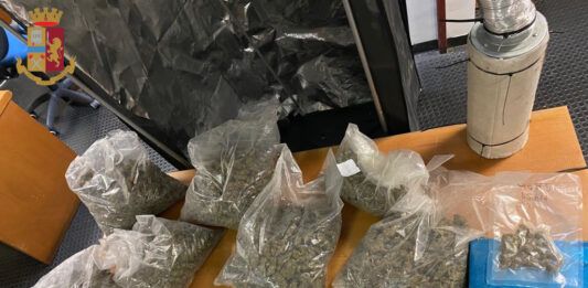 marijuana serra roma est