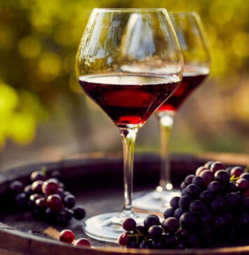 BOOM-VINO-AUTORIZZAZIONI-REGIONE-LAZIO-TERRENI-VITICOLTURA-AGOSTO-2023-