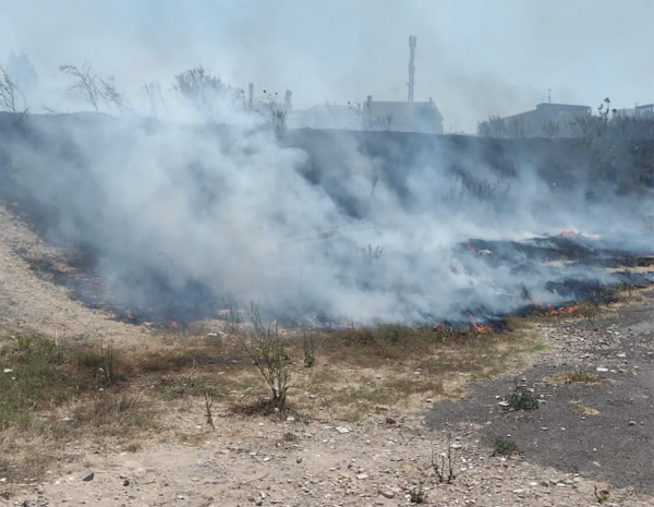 Acilia, spaventoso incendio vicino al centro abitato: a fuoco il pratone di via Badiali 1