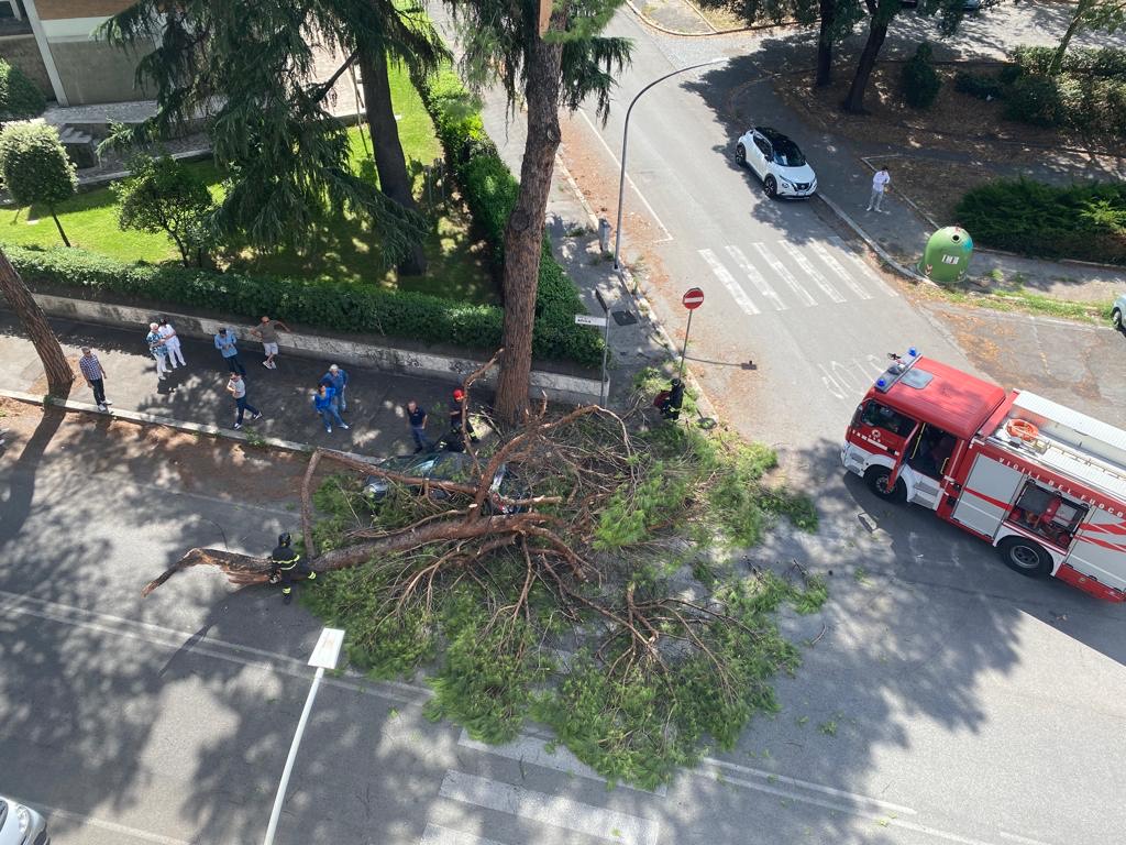 Crolla albero all'Eur e "schiaccia" un'auto: donna in ospedale 1