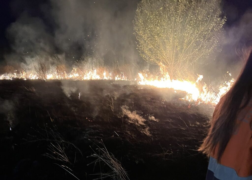 Guidonia, fiamme dolose nella notte di Ferragosto: lambita una villetta 1