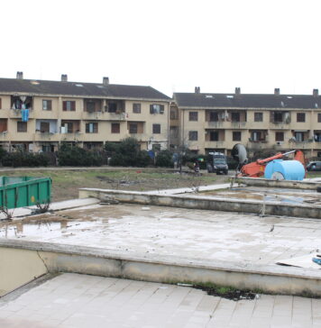 ARDEA-VILLETTE-DEMOLITE-SGOMBERI-