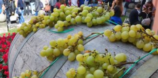 Sagre di ottobre