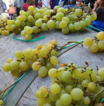 Sagre di ottobre