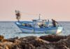 Con il fermo biologico restano in porto i pescherecci di Fiumicino, Anzio, Civitavecchia, Gaeta e Terracina. Ai pescatori un sostegno al reddito