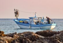 Con il fermo biologico restano in porto i pescherecci di Fiumicino, Anzio, Civitavecchia, Gaeta e Terracina. Ai pescatori un sostegno al reddito