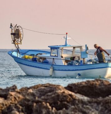 stop pesca pesce fresco tirreno ionio