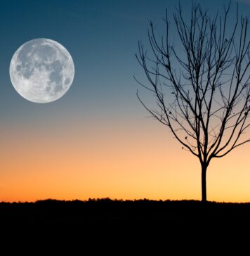 luna piena