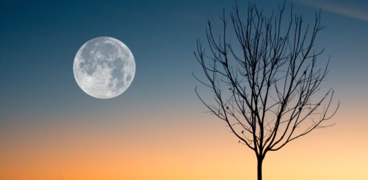 luna piena