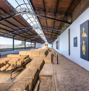 Tutti gli appuntamenti in programma al Museo Lavinium per il mese di agosto: laboratori didattici per bambini, visite guidate botaniche, telescopi per osservare le stelle e incontri con gli autori