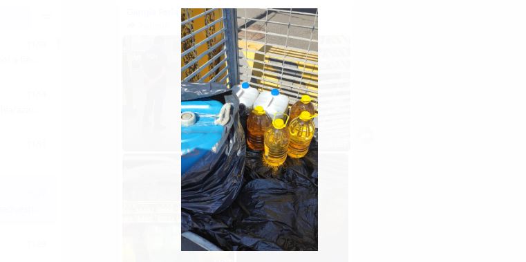 Civitavecchia, maxi-sequestro al porto: 1429 litri d'olio d'oliva, carne e piante senza certificazione 3