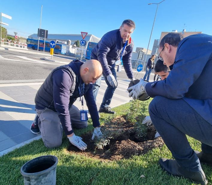 Fiumicino, in aeroporto 150 nuove piante per la Giornata Nazionale degli Alberi 1