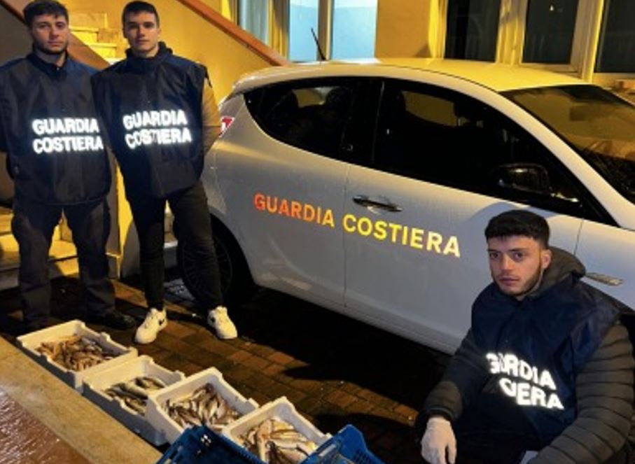 Anzio, blitz guardia costiera al porto: confiscati 400 chili di pesce "irregolare" 1