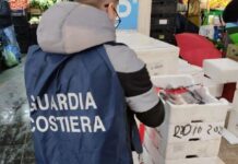 Capitaneria di porto, intensificati i controlli in vista del Capodanno: i consigli per un pescato sicuro